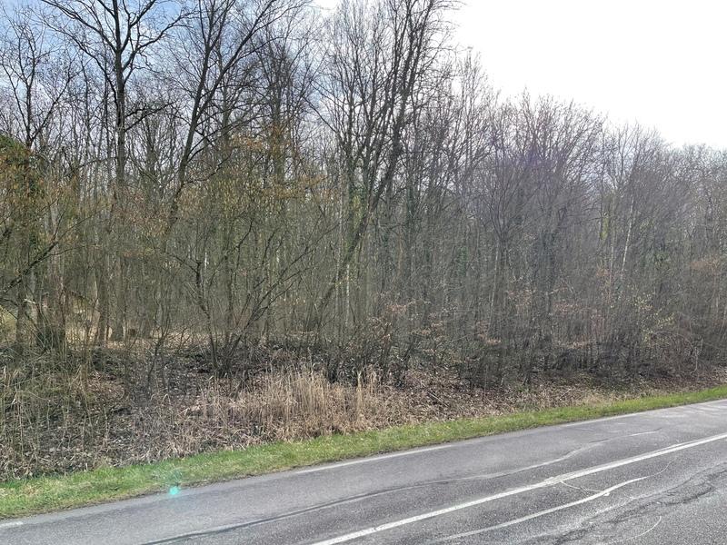 Terrain - 61 797 m²