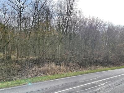 Terrain - 61 797 m²