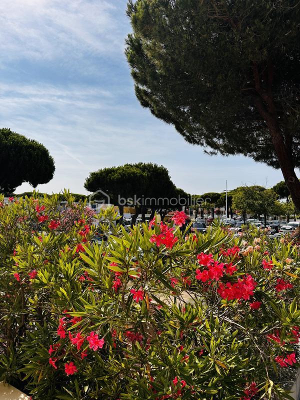 Studio - 24 m² - 1 pièce