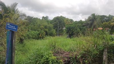 Terrain constructible - 669 m²