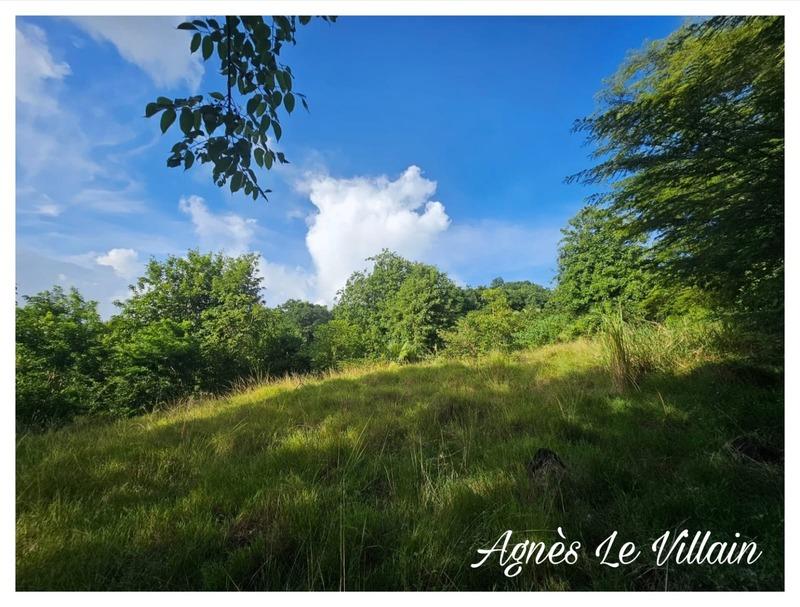 Terrain constructible - 2 983 m²