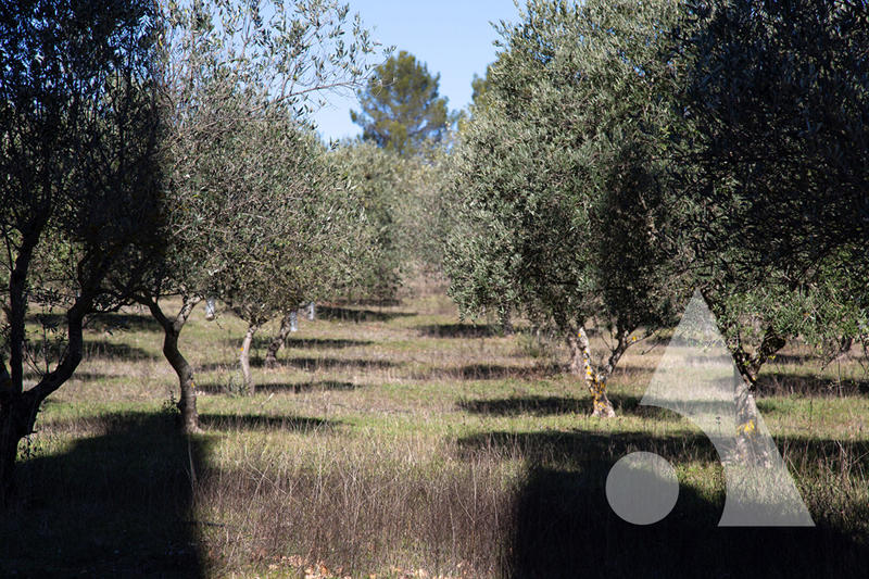 Maison - 640 m² - 18 pièces