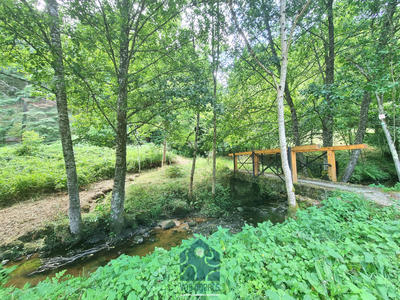 Propriété - 250 m² - 8 pièces