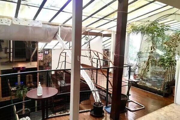 Atelier d'activités - 240 m² - 7 pièces