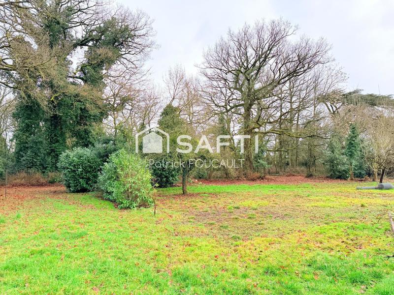 Terrain - 11 077 m²