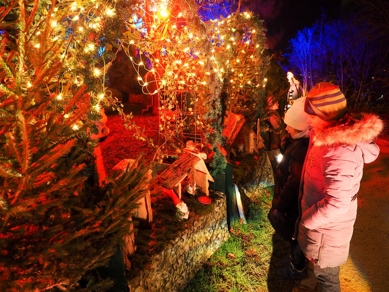 La Forêt Enchantée