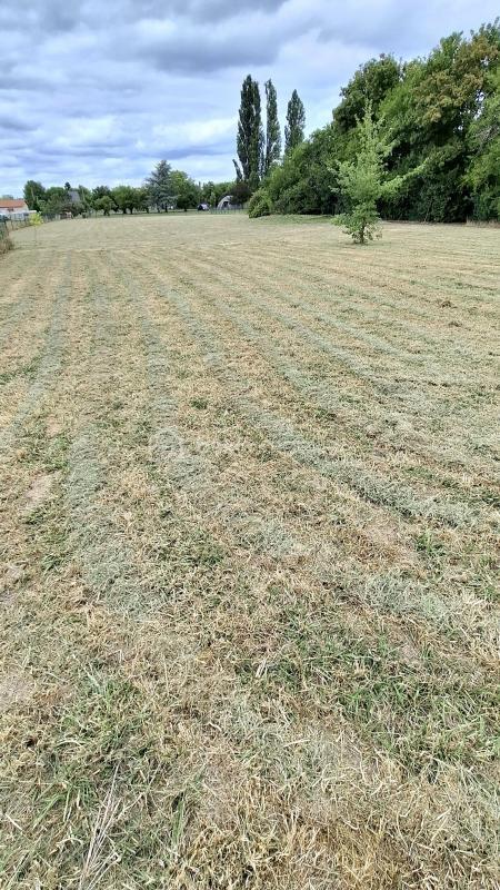 Longère - 220 m² - 8 pièces