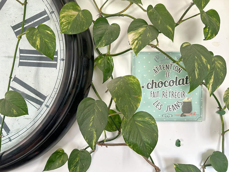 Maison contemporaine - 95 m² - 5 pièces