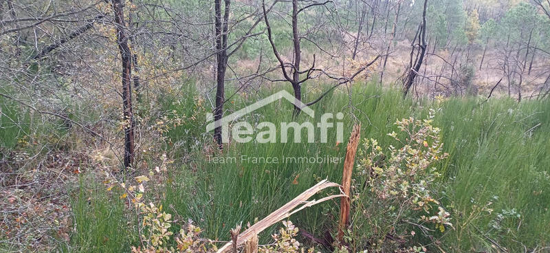 Terrain agricole - 14 279 m²