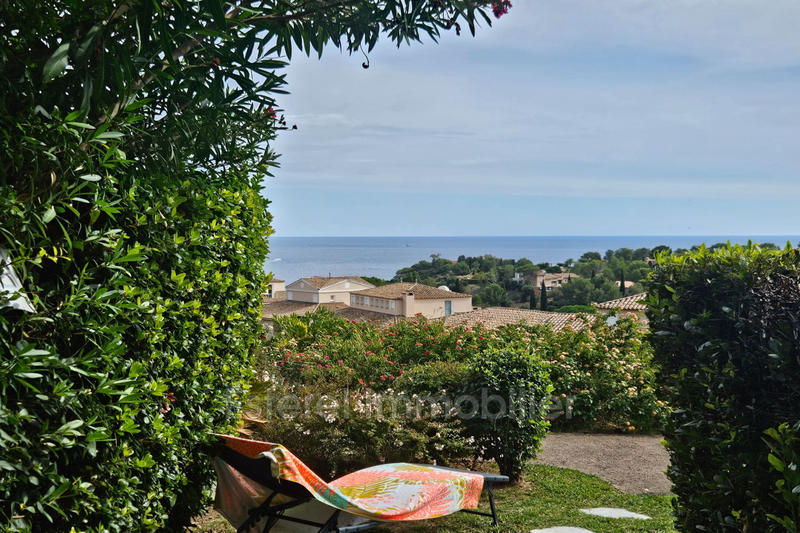 Appartement - 23 m² - 1 pièce