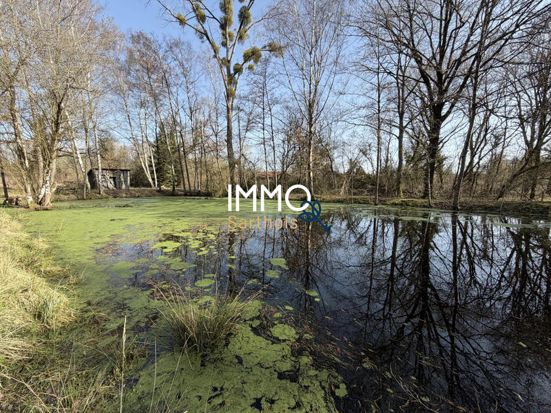 Terrain de loisirs - 3 800 m²