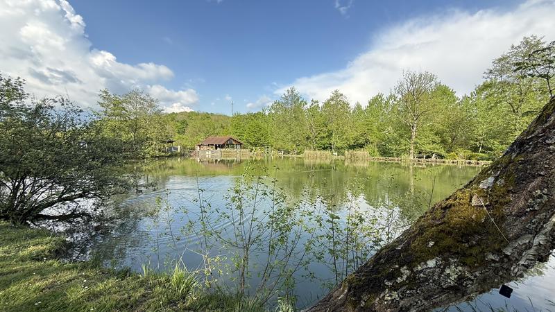 Terrain - 13 420 m²