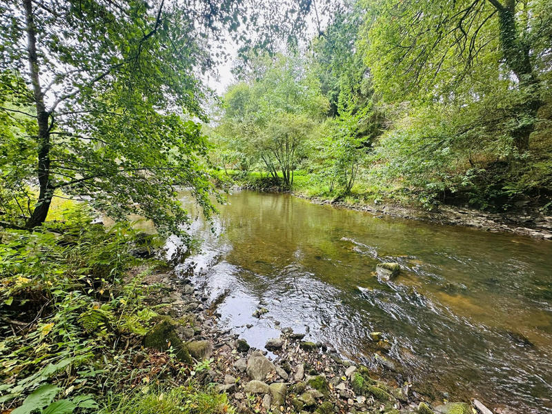 Maison - 310 m² - 8 pièces