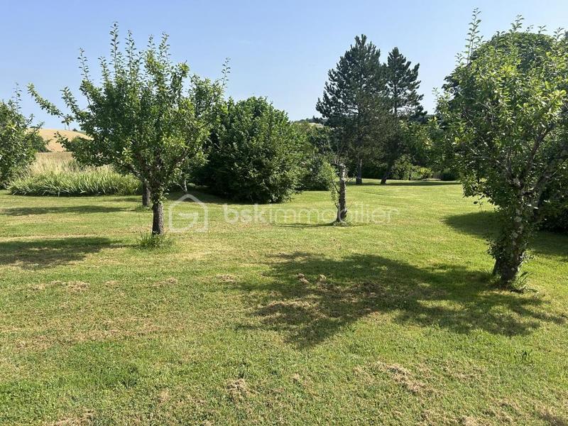 Maison en pierre - 221 m² - 7 pièces