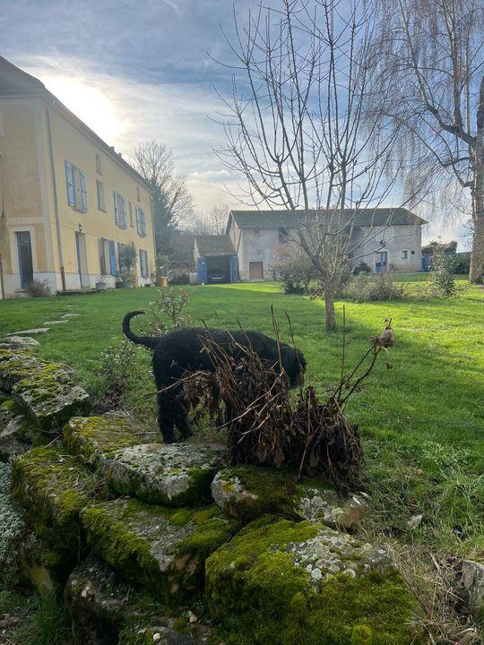 Propriété - 300 m² - 12 pièces