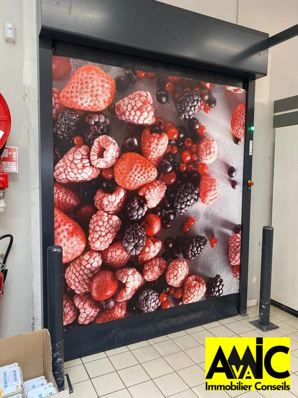 Local commercial - 1 226 m² - 5 pièces