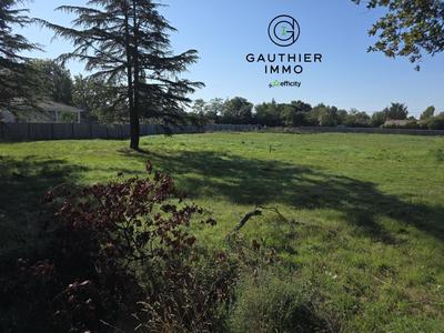 Terrain constructible - 1 369 m²