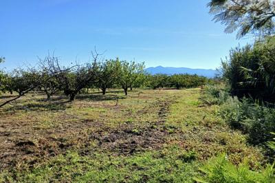 Terrain agricole - 7 121 m²