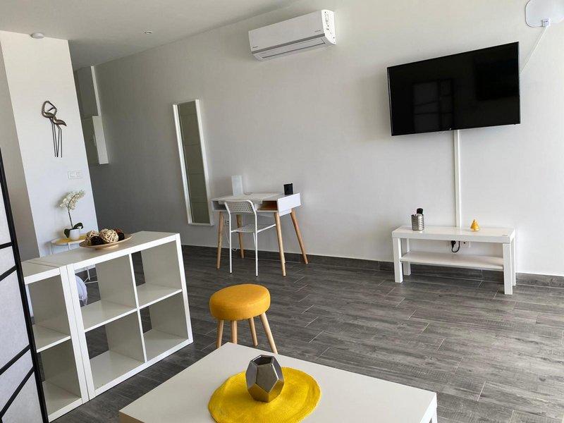 Loft - 44 m² - 1 pièce