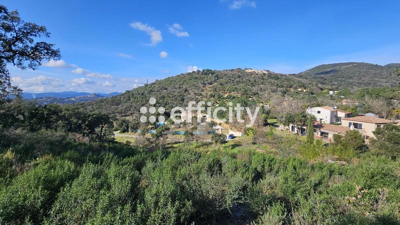 Terrain - 5 000 m²