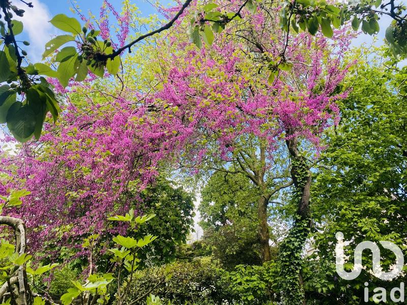 Maison - 142 m² - 4 pièces