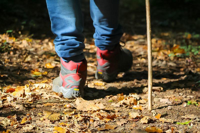 Randonnée du Muguet