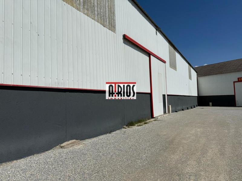 Entrepôt - 595 m²