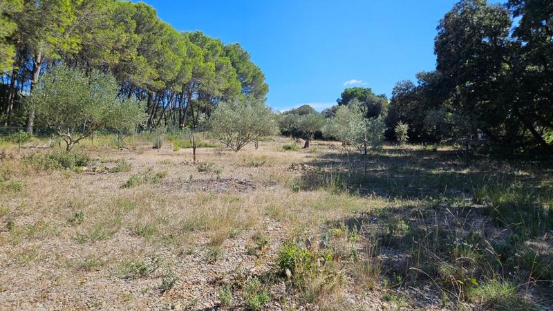 Terrain - 3 360 m²