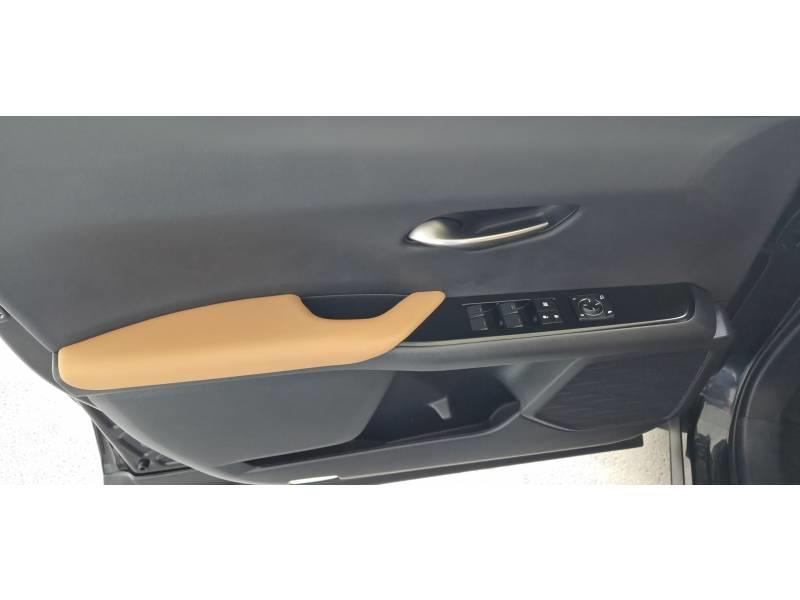 Lexus Ux 250h 2wd Luxe