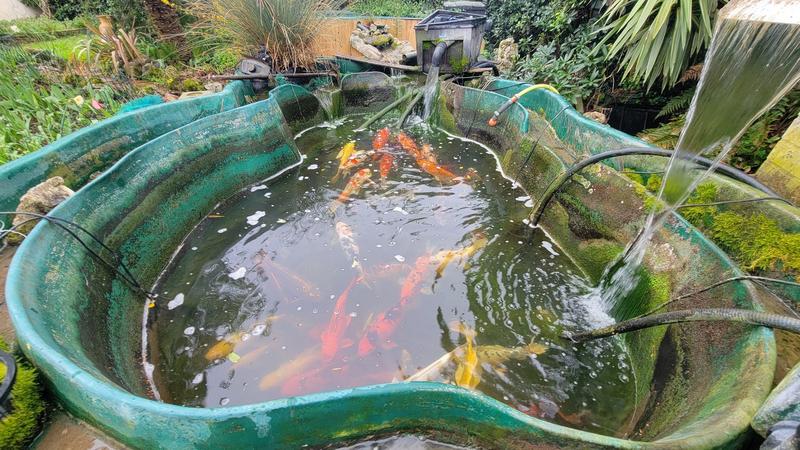 Maison ancienne - 163 m² - 7 pièces