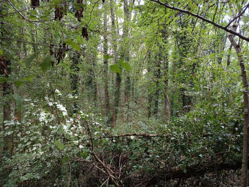 Terrain agricole - 33 821 m²