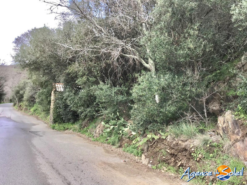 Terrain agricole - 4 000 m²