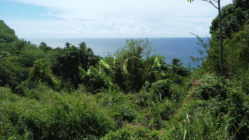 Terrain constructible - 6 099 m²