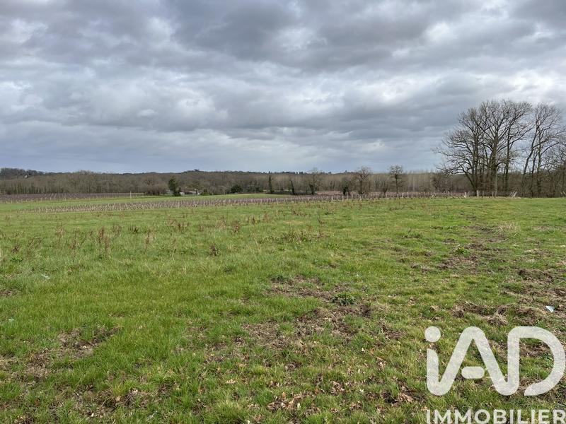 Terrain agricole - 13 208 m²