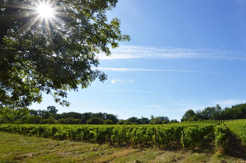 Propriété viticole - 390 m² - 9 pièces