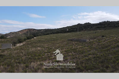 Terrain agricole - 17 590 m²