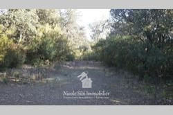 Terrain - 81 150 m²