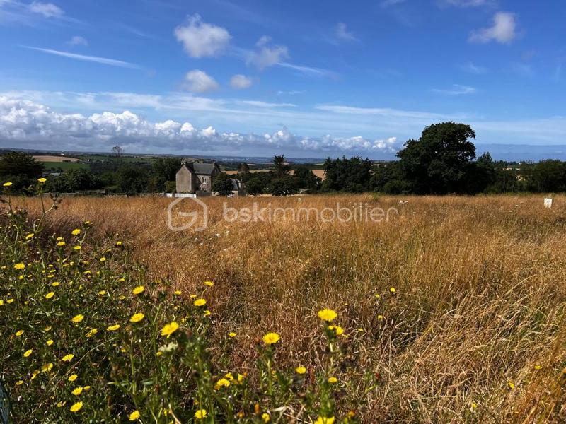 Terrain constructible - 546 m²