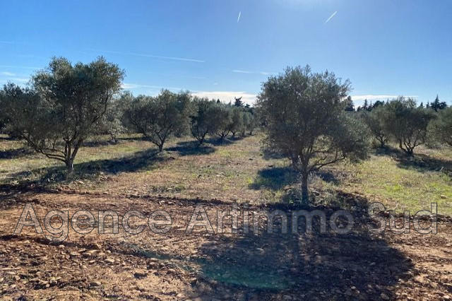 Terrain - 7 500 m²