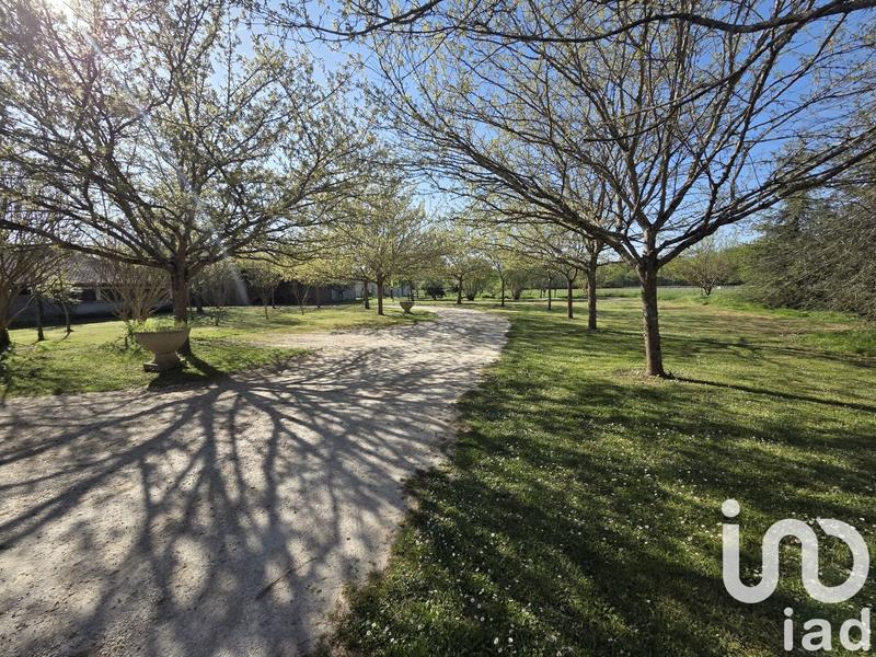 Château - 650 m² - 20 pièces