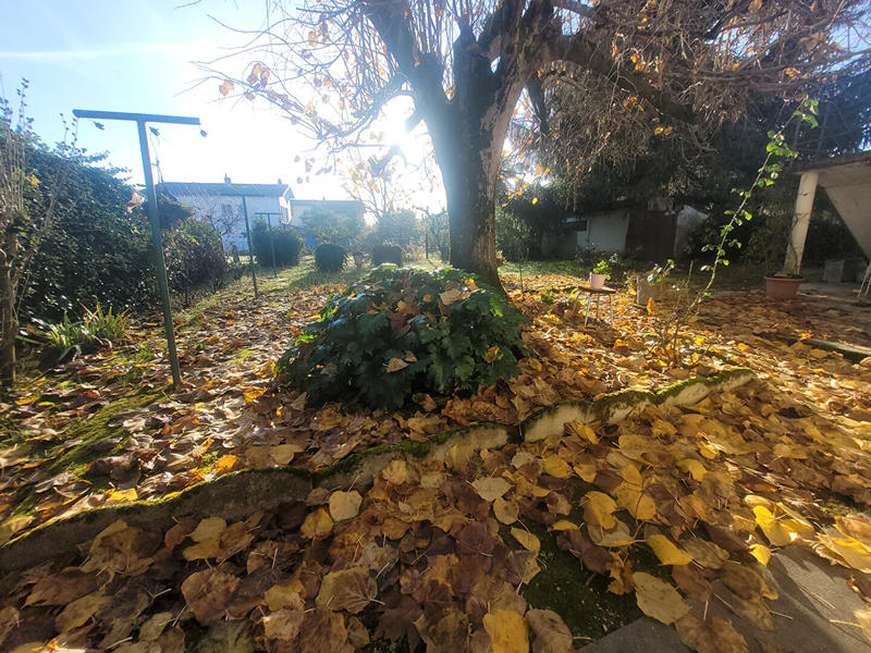 Maison - 176 m² - 7 pièces