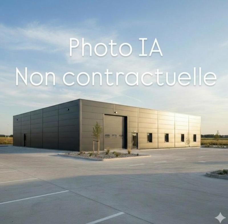 Local d'activité / Entrepôt - 357 m²