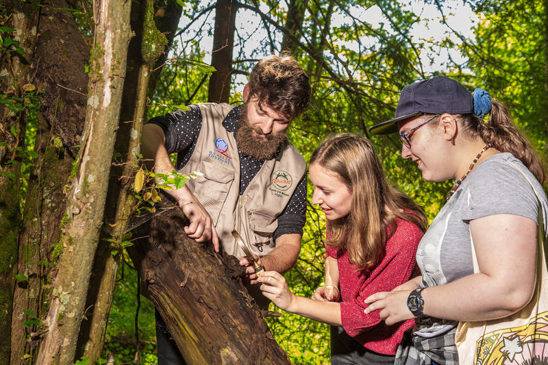 Visite nature - Forêt sauvage, Vie secrète