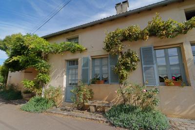 Maison - 290 m² - 11 pièces