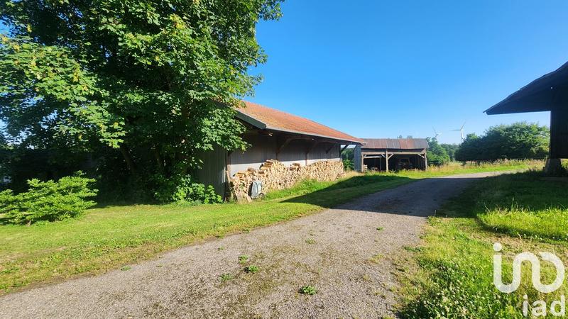 Maison de campagne - 100 m² - 5 pièces