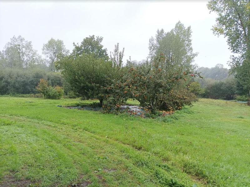 Moulin - 79 m² - 9 pièces