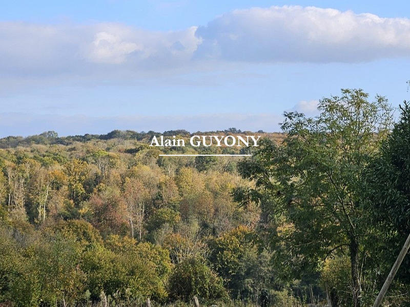 Maison traditionnelle - 133 m² - 6 pièces