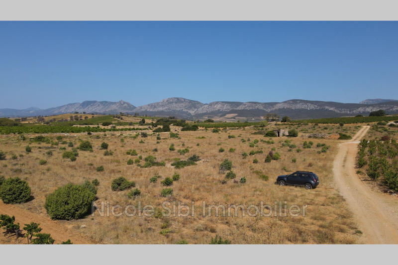Terrain agricole - 10 255 m²