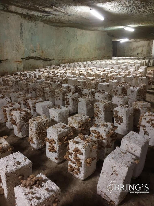 Fonds de commerce - 160 000 m²