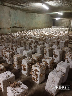 Fonds de commerce - 160 000 m²